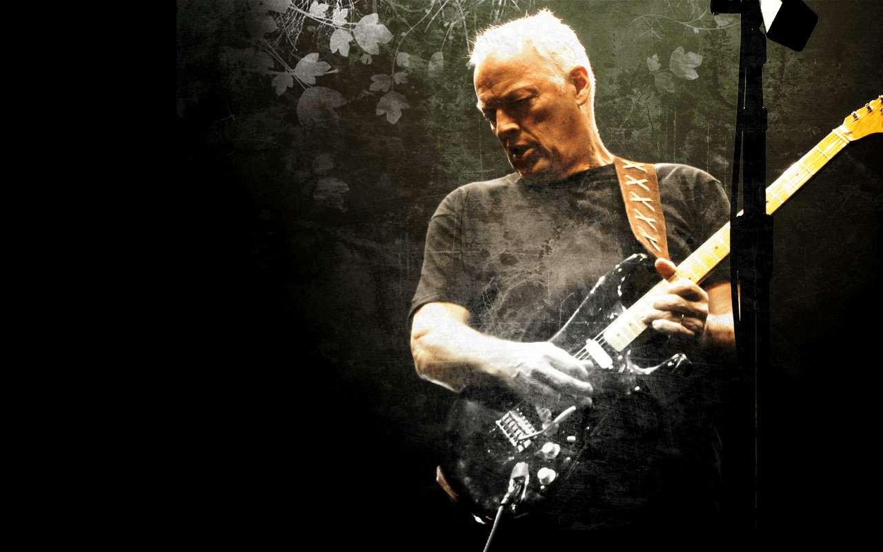 The Image of David Gilmour Fresh HD Wallpaper