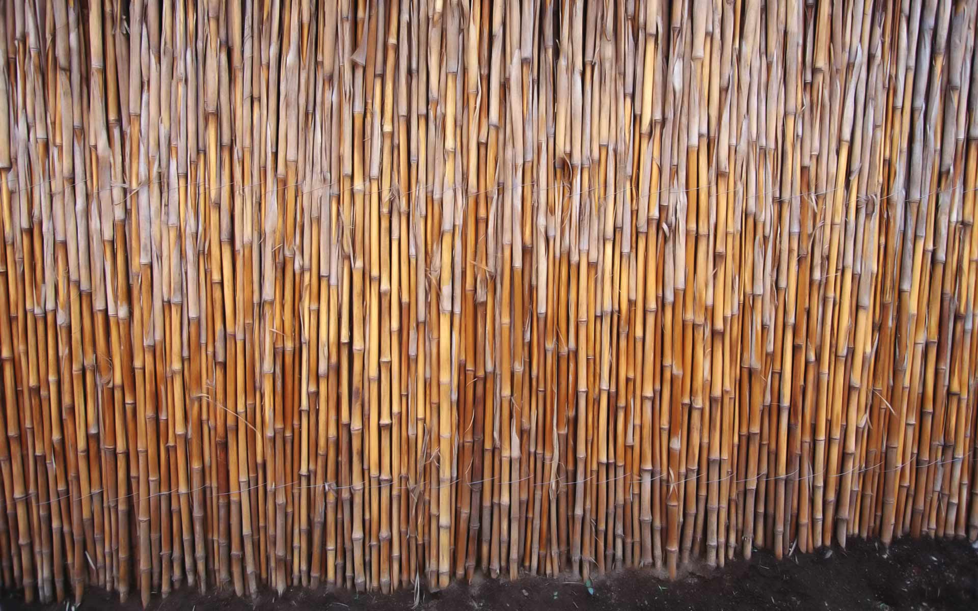 Desktop Wallpaper · Gallery · Nature · Bamboo fence. Free