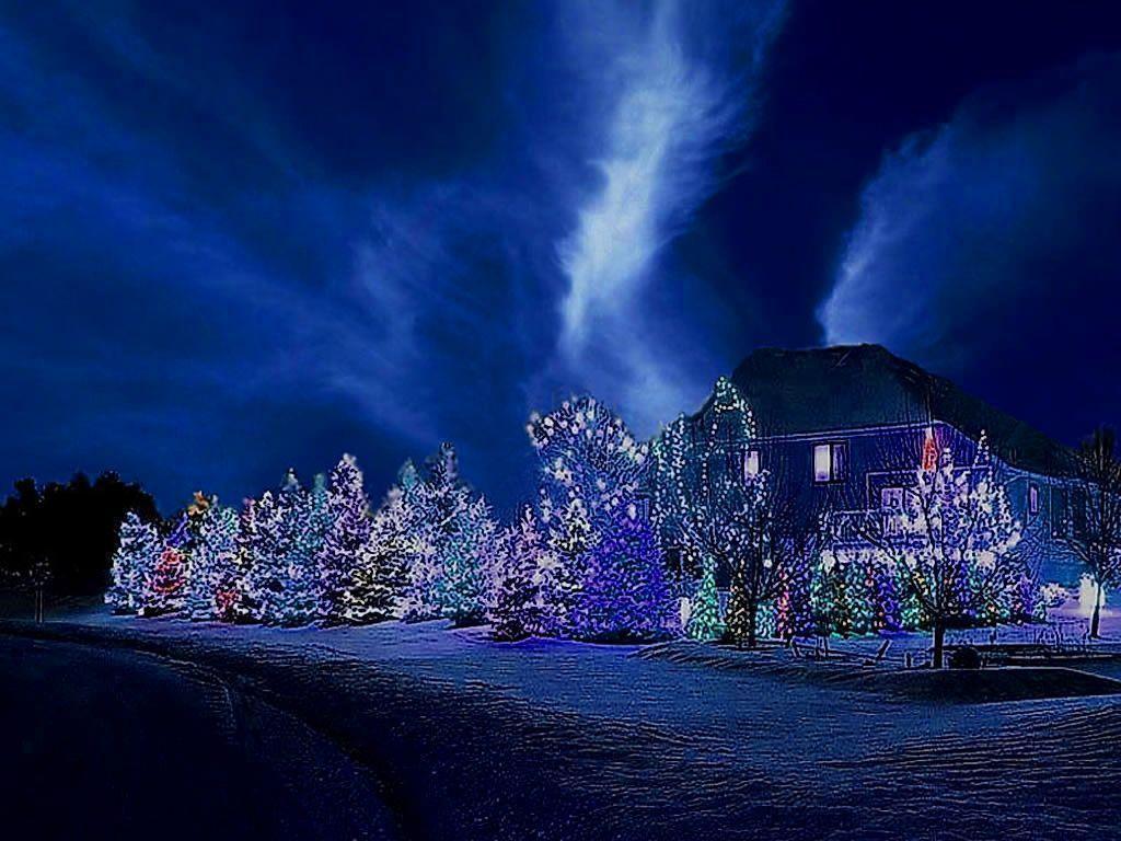 Winter Christmas Night Image & Picture