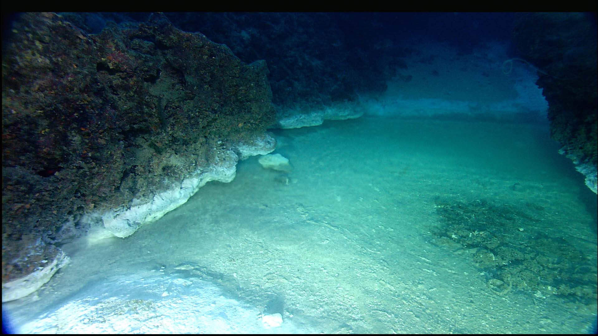 Deep Ocean Floor