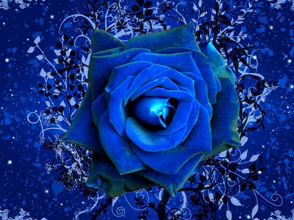 Wallpaper For > Dark Blue Roses Wallpaper