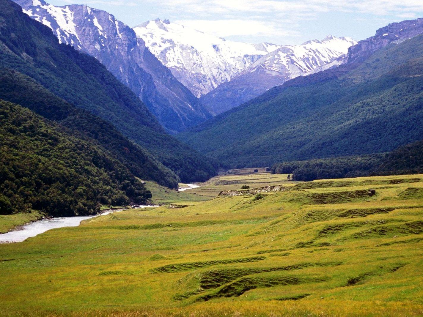 Cattle flats Dart river New Zealand free desktop background