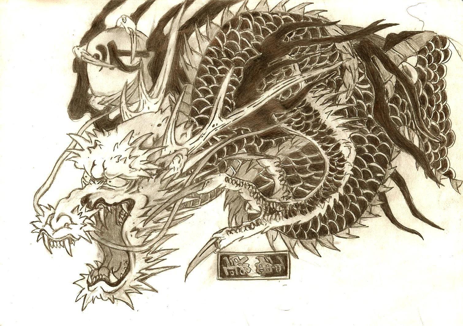 Download Dragon Tattoo Wallpaper 1510x1063