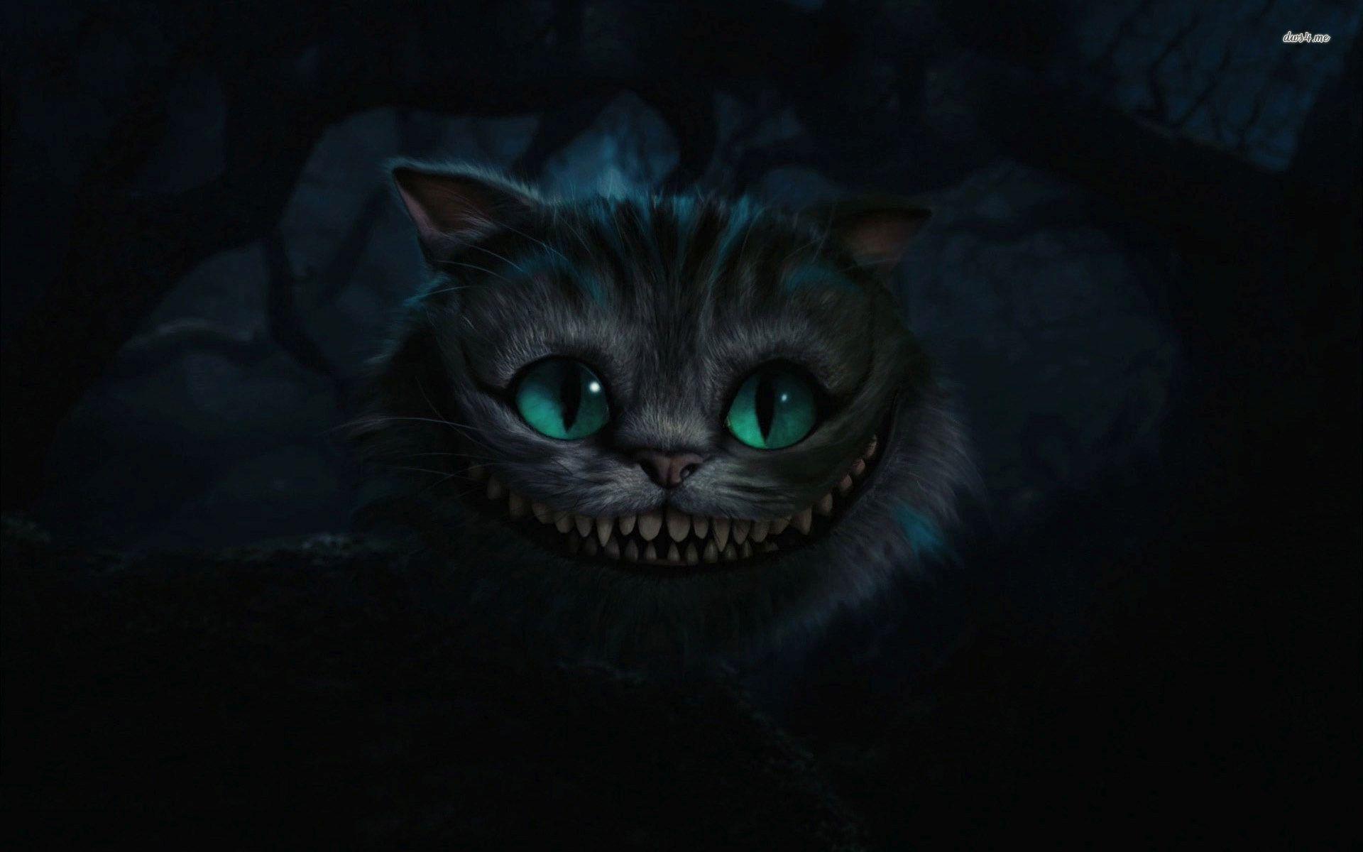 Cheshire Cat Wallpapers - Wallpaper Cave