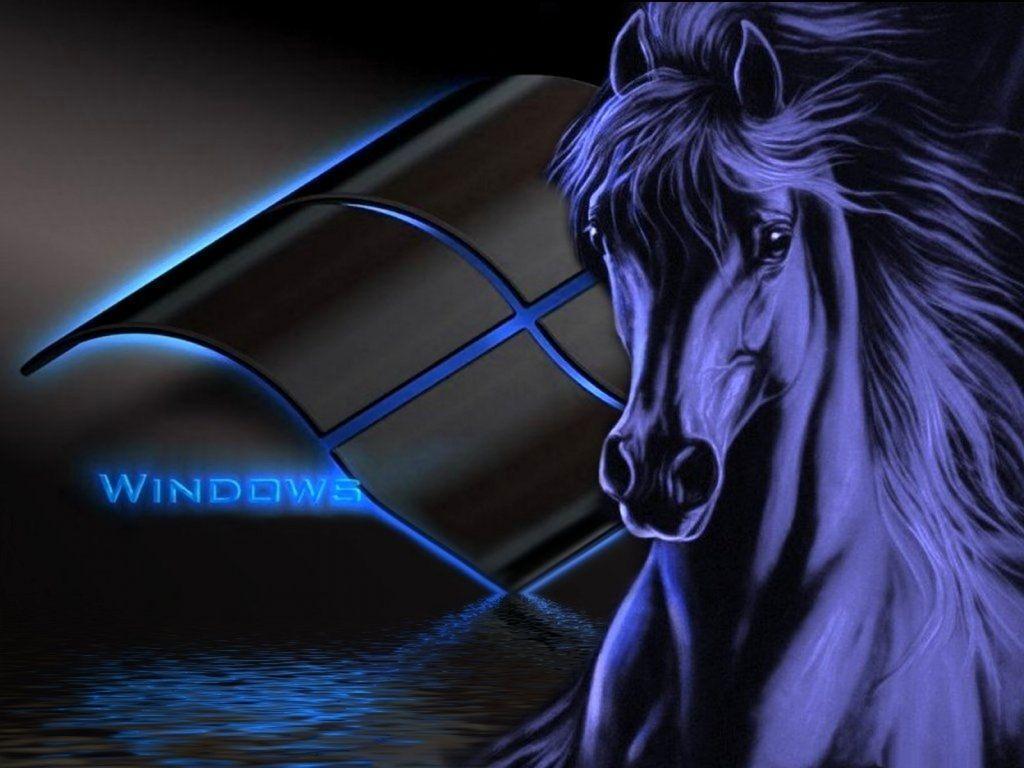 Free Black Windows Horse Wallpaper Download The