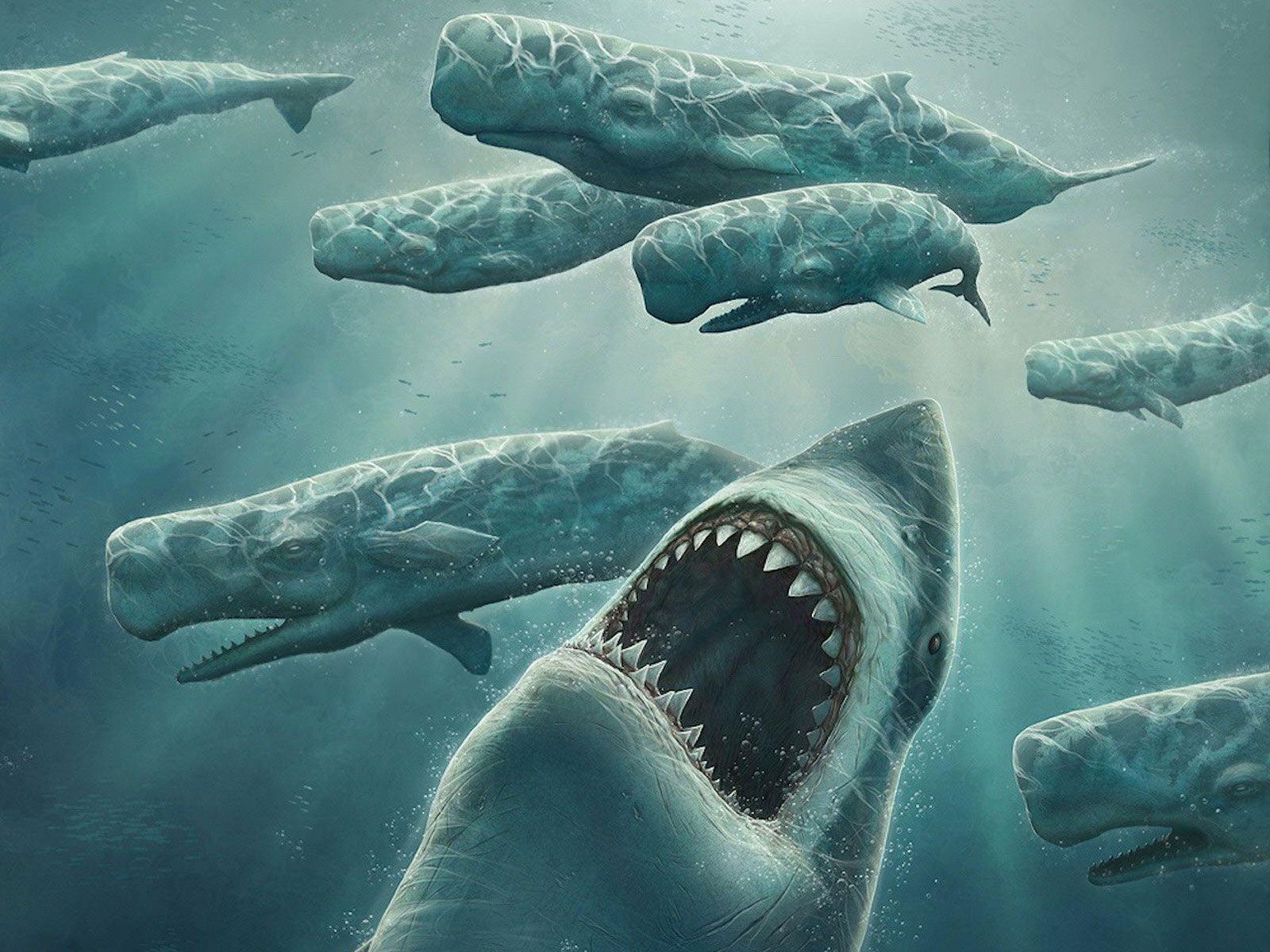 Desktop Wallpaper · Gallery · 3D Art · Underwater Predators. Free