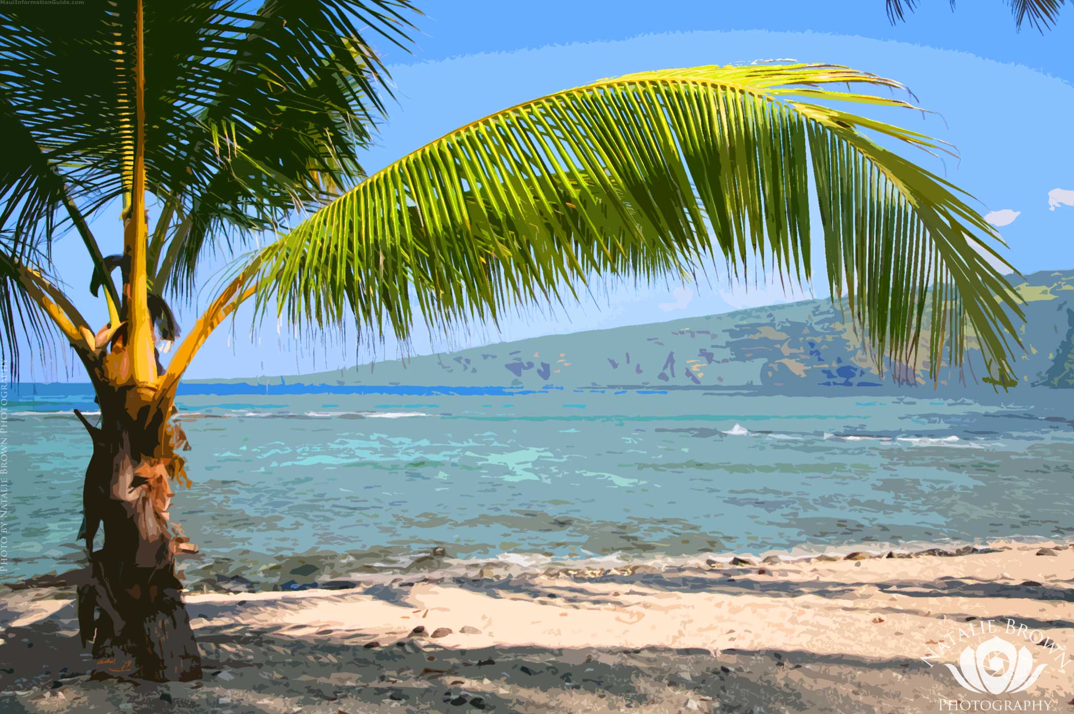 Hawaii Background for Twitter