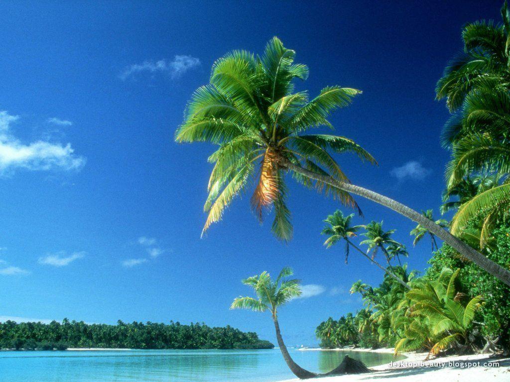 Tropical Beach Wallpaper and Background