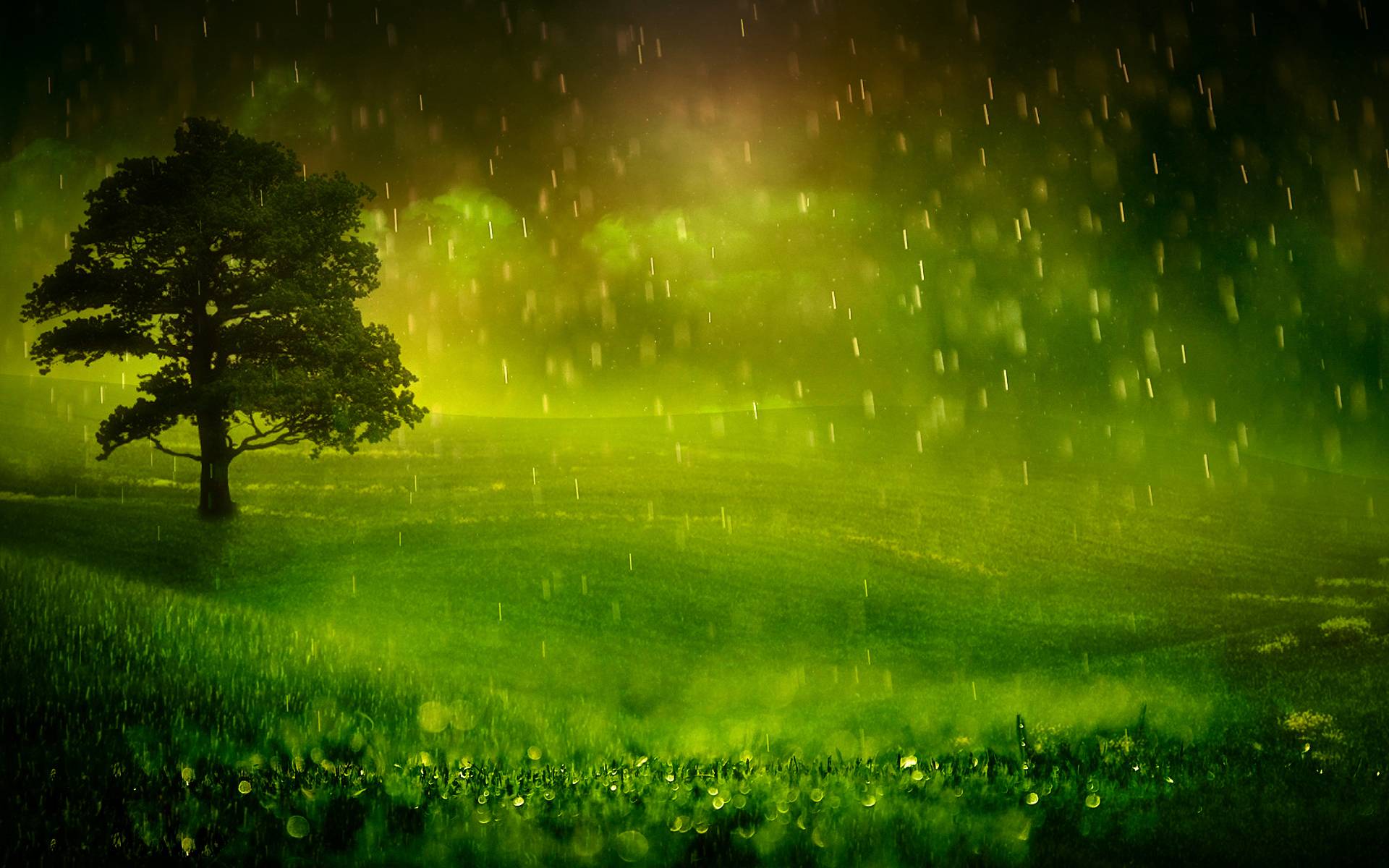 Wallpaper For > Nature Raining Wallpaper With Quotes