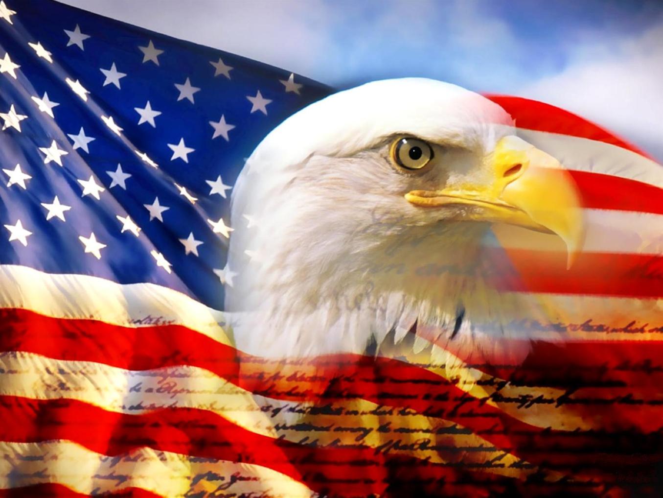 American Flag Eagle Bird Background. Free Download Wallpaper