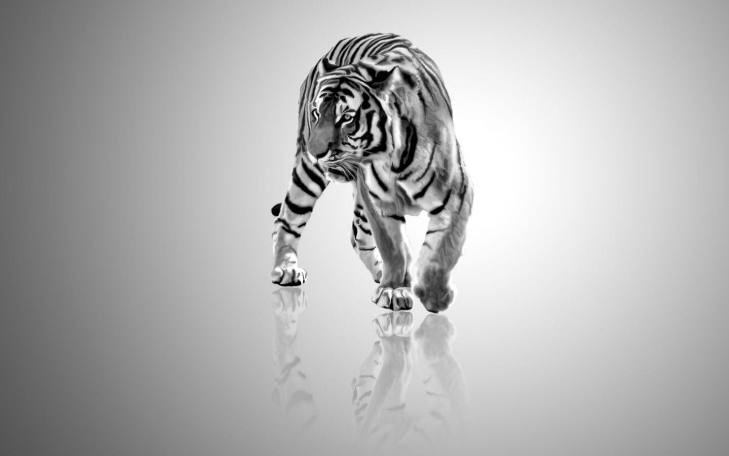 Wallpaper For > White Tiger Wallpaper HD