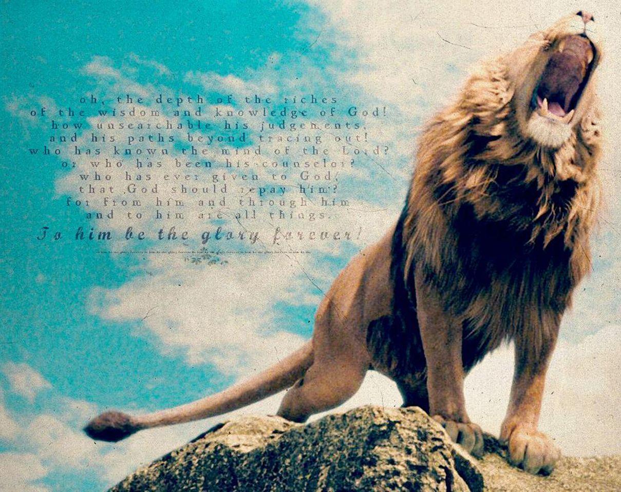 Aslan Wallpapers - Wallpaper Cave