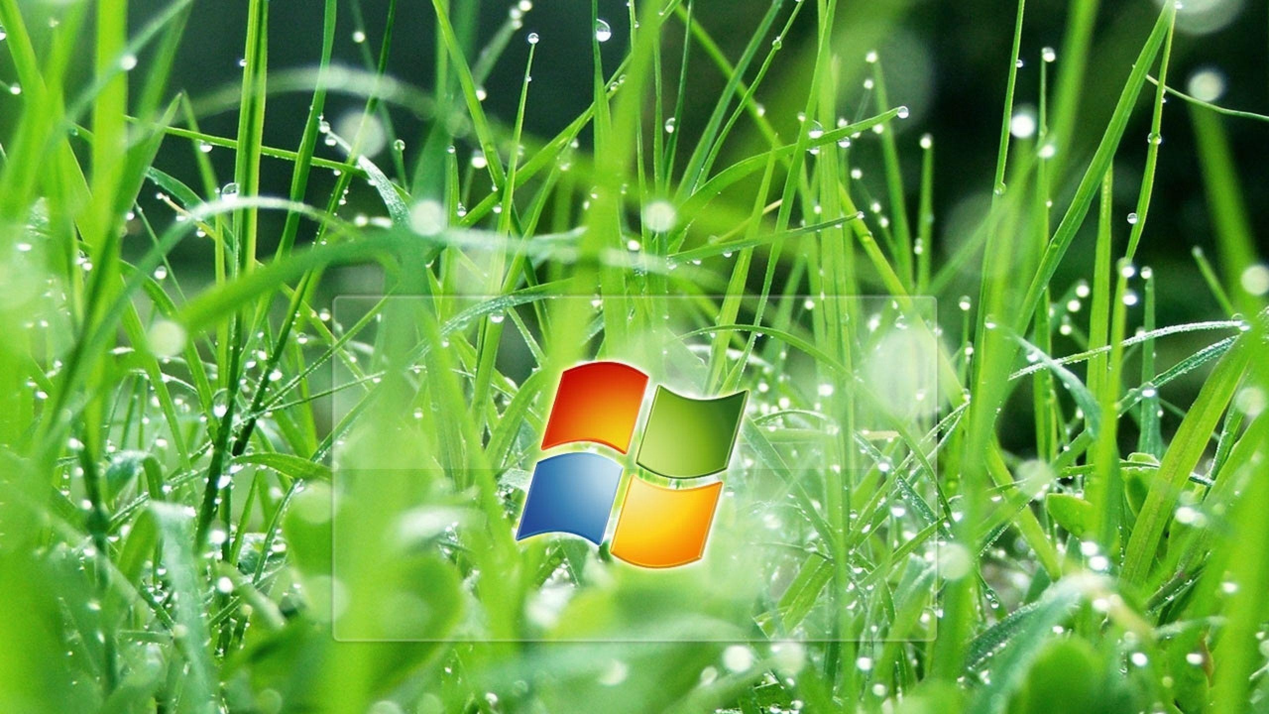 Microsoft Wallpaper Grass, wallpaper, Microsoft Wallpaper Grass HD