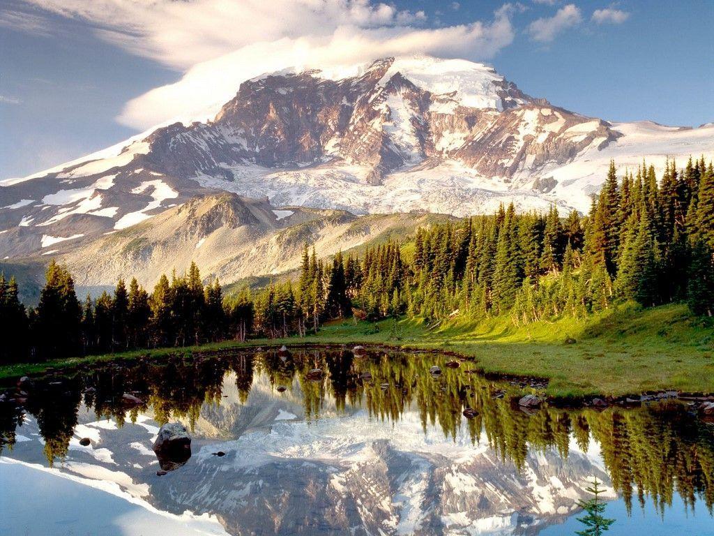 Mount Rainier National Parks Wallpaper