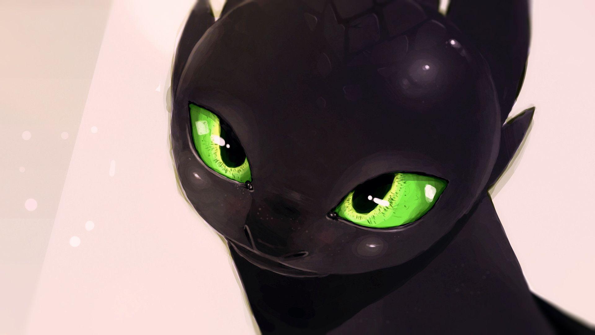 Toothless to Train Your Dragon wallpaper