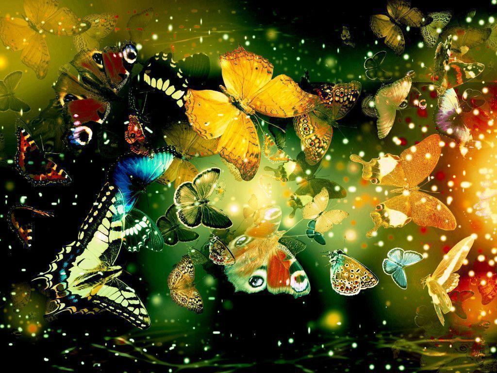 3D colorful butterfly wallpaper