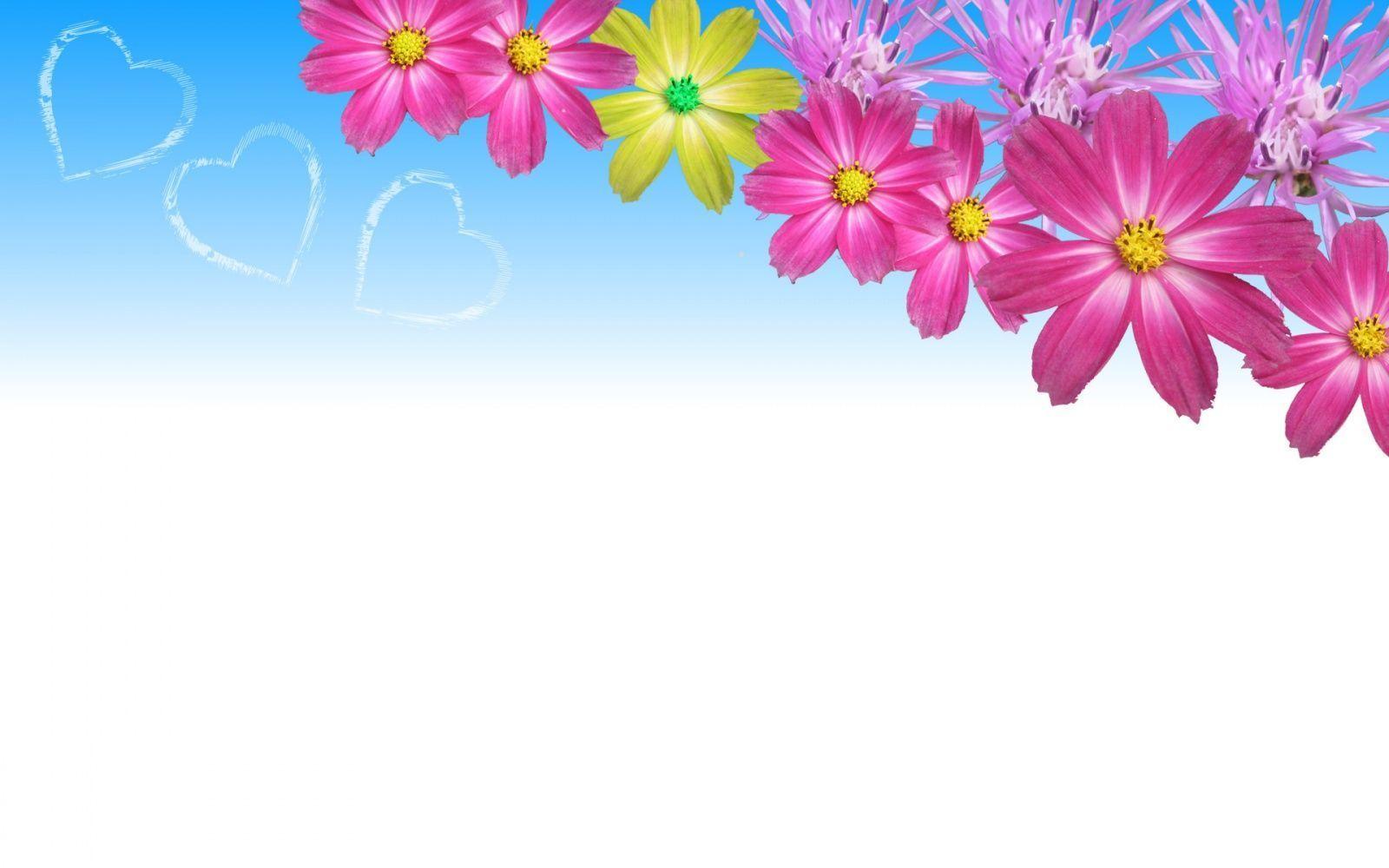 beautiful pink flowers wallpaper Search Engine