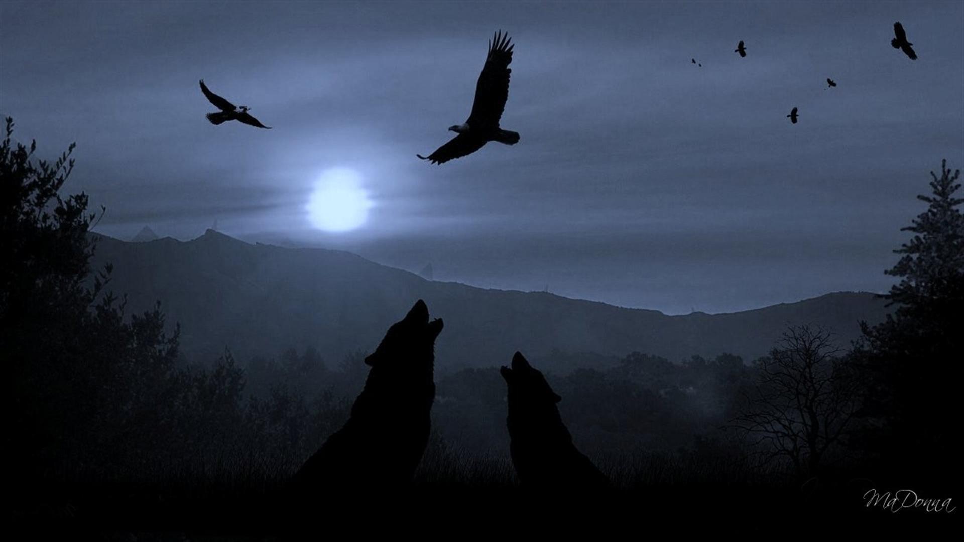 Animals For > Dark Wolf Moon Wallpaper