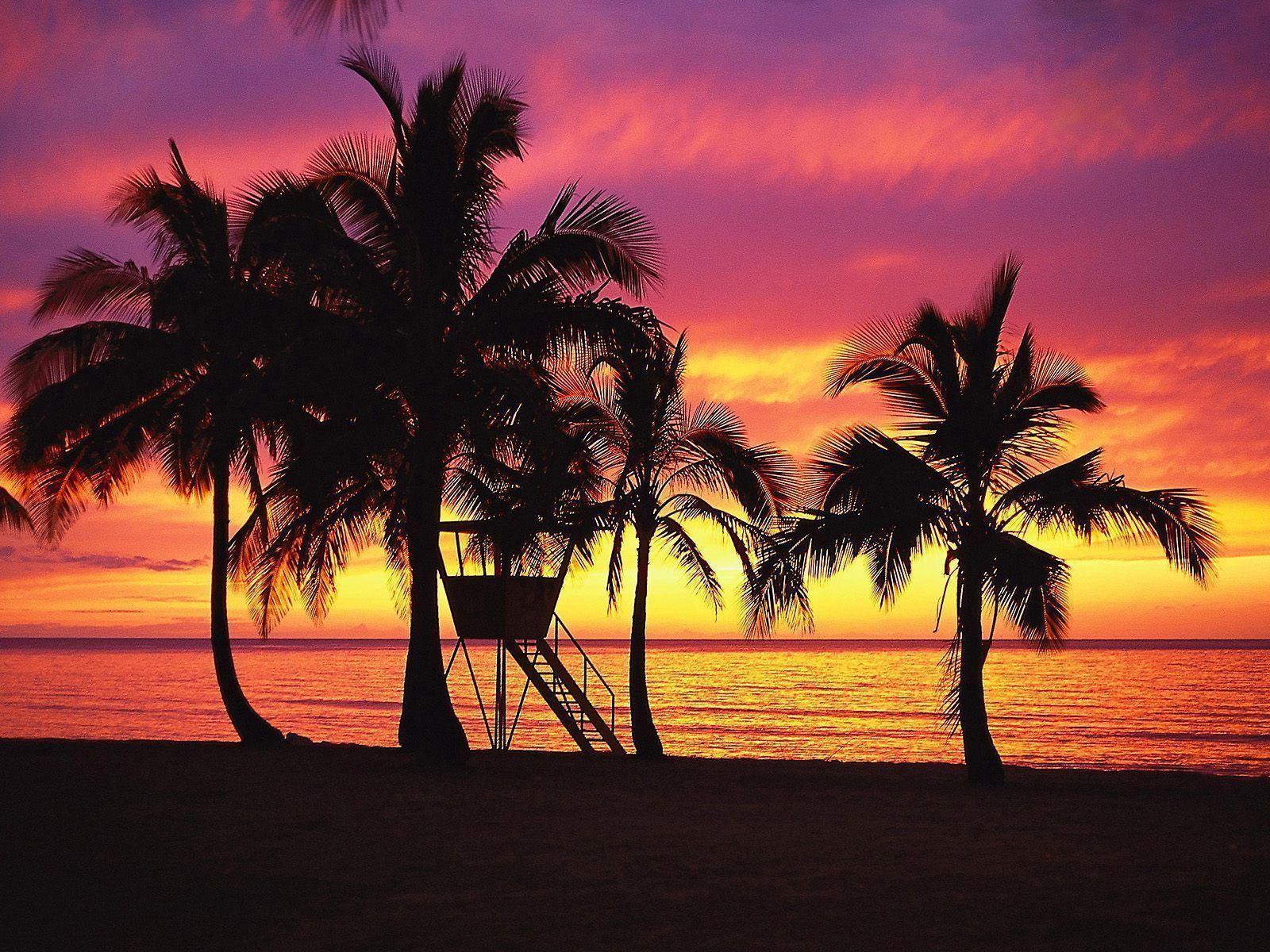 Hawaii Sunset HD wallpaper Landscape WallpaperHD Landscape