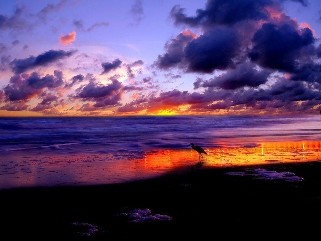 Beach Sunset Wallpaper Desktop HD Background Wallpaper 17 HD