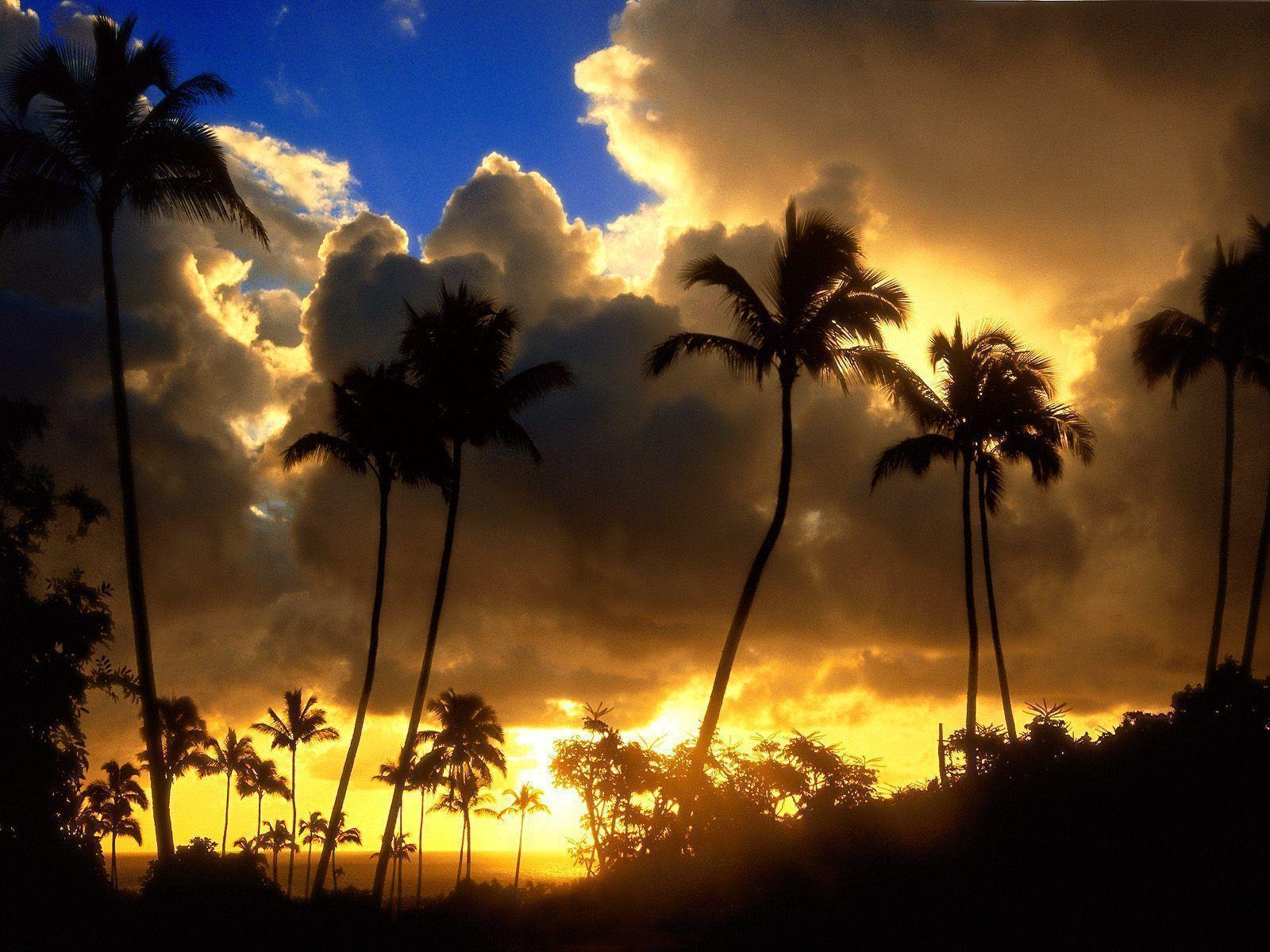 Desktop Wallpaper · Gallery · Travels · Kauai Hawaii. Free