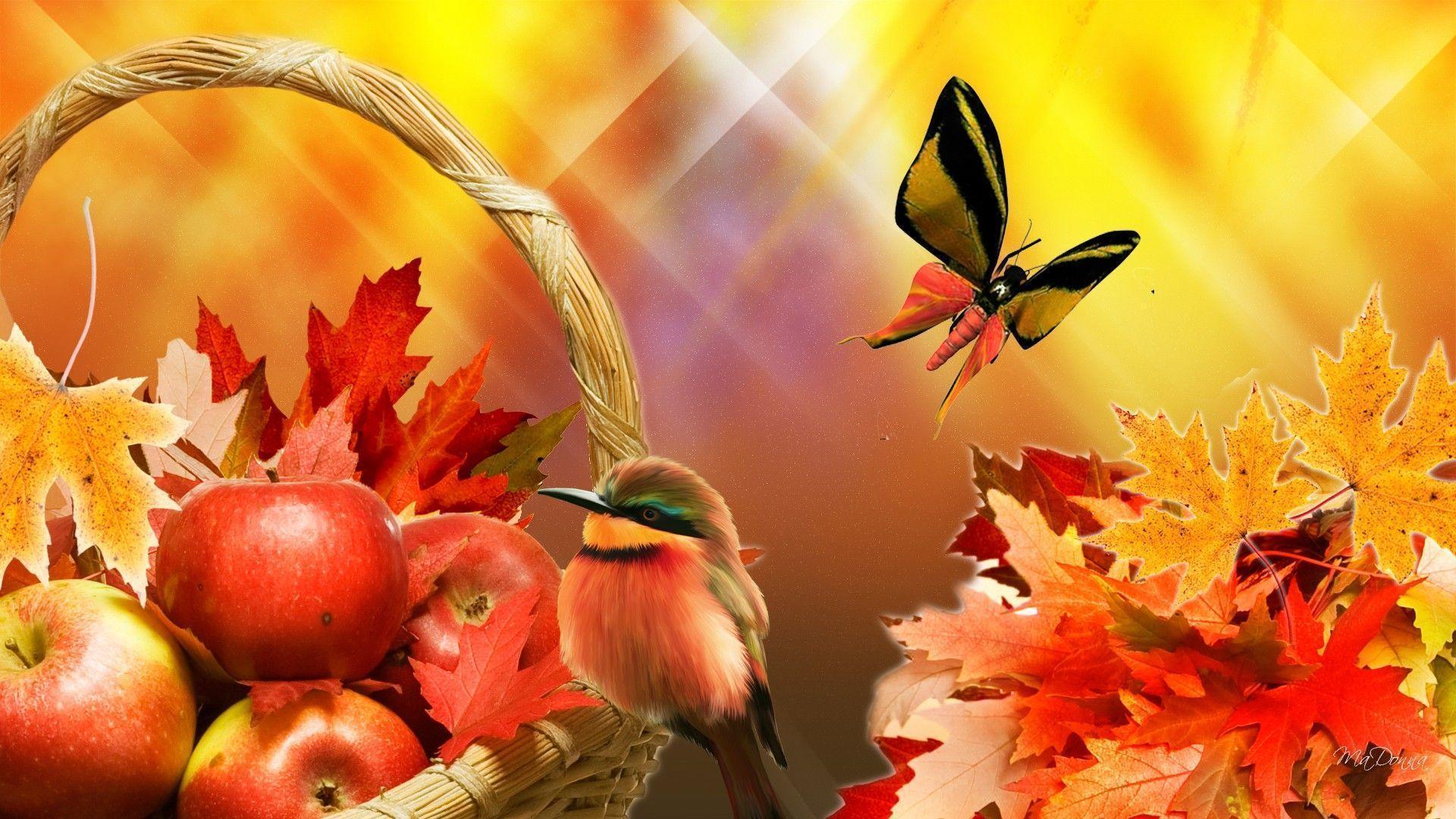 image For > Apple Harvest Wallpaper