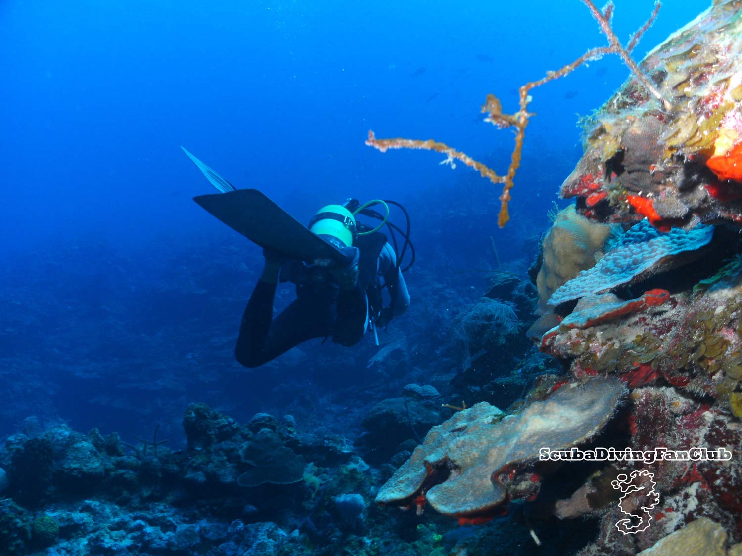 Scuba Diving Image 6 HD Wallpaper. lzamgs