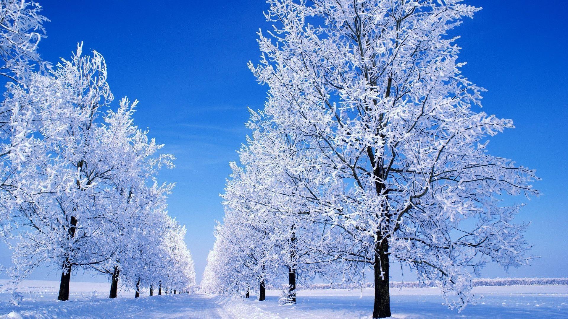 winter scene desktop wallpaper 2015