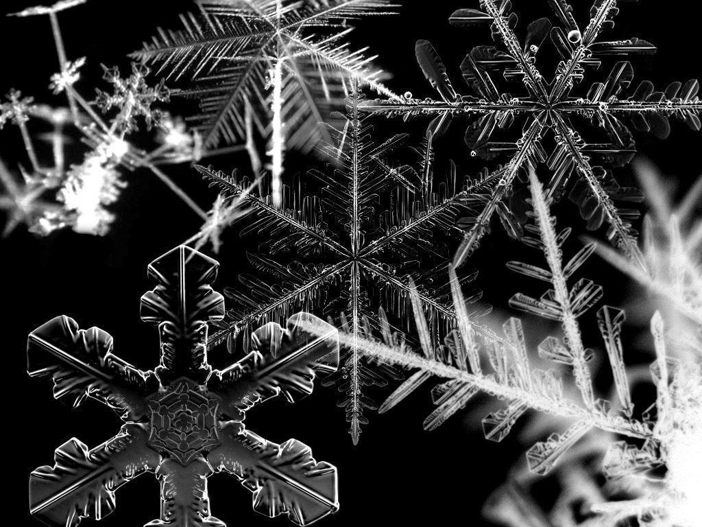 Hd Snowflake Wallpaper 14472 HD Wallpaper in Nature