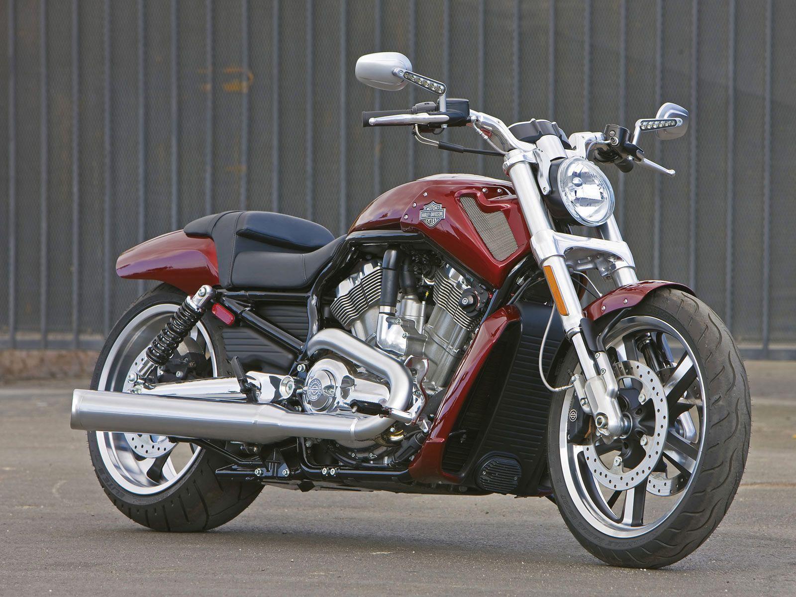 Pix For > Harley Davidson V Rod Muscle