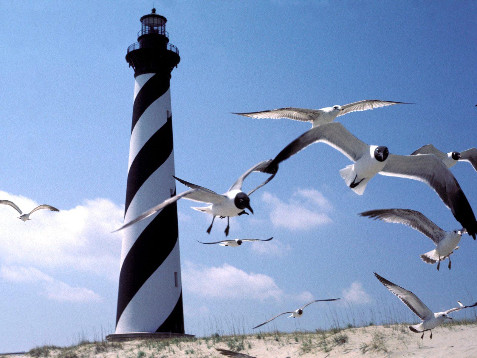 Cape Hatteras lighthouse north Carolina free desktop background
