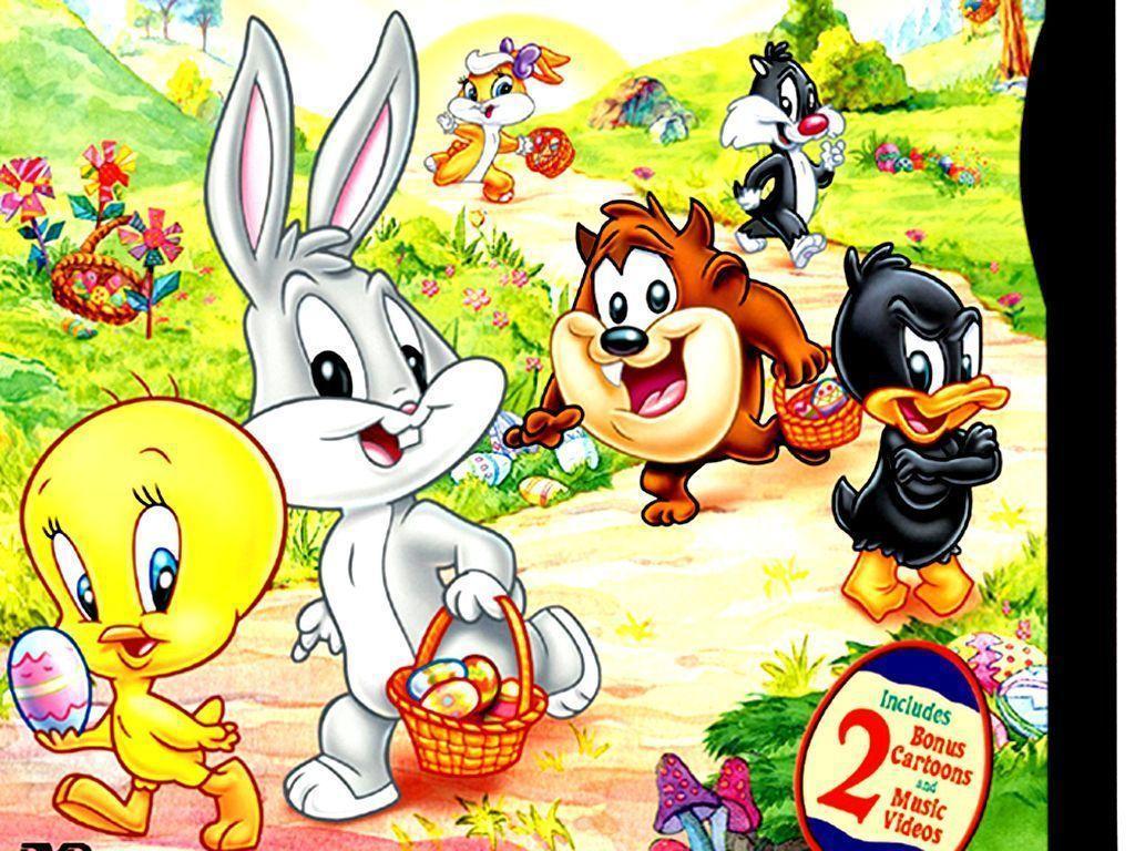 Looney Tunes Baby Cartoon Network Wallpaper Wallpaper