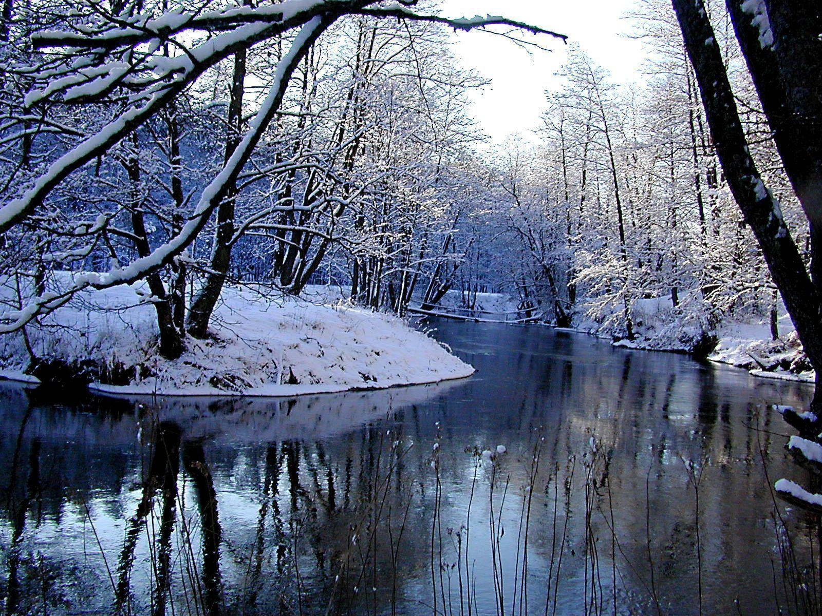 Christmas Nature Winter (id: 44314)