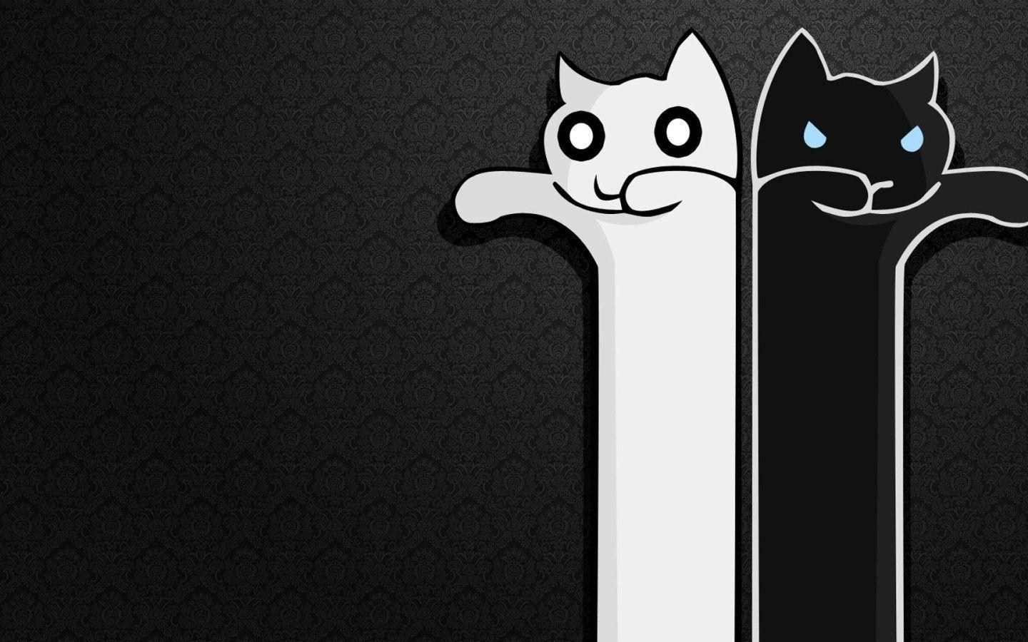 White Cat, Black Cat desktop PC and Mac wallpaper