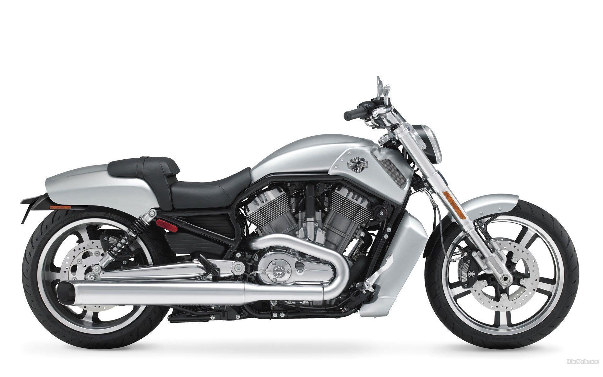Free Download Wallpaper Muscle Harley Davidson Vrscf V Rod Car