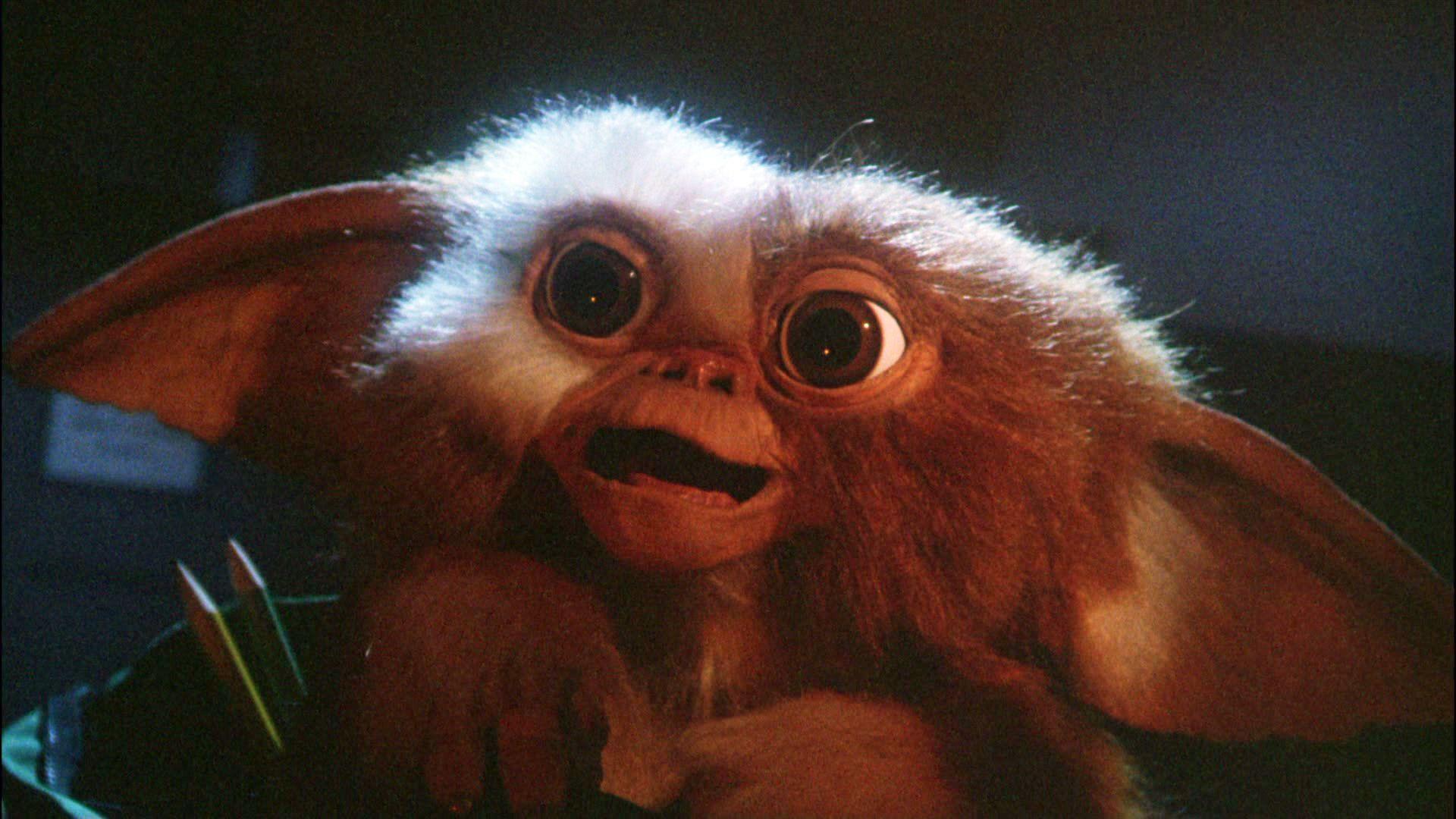 image For > Gizmo Gremlins Cute