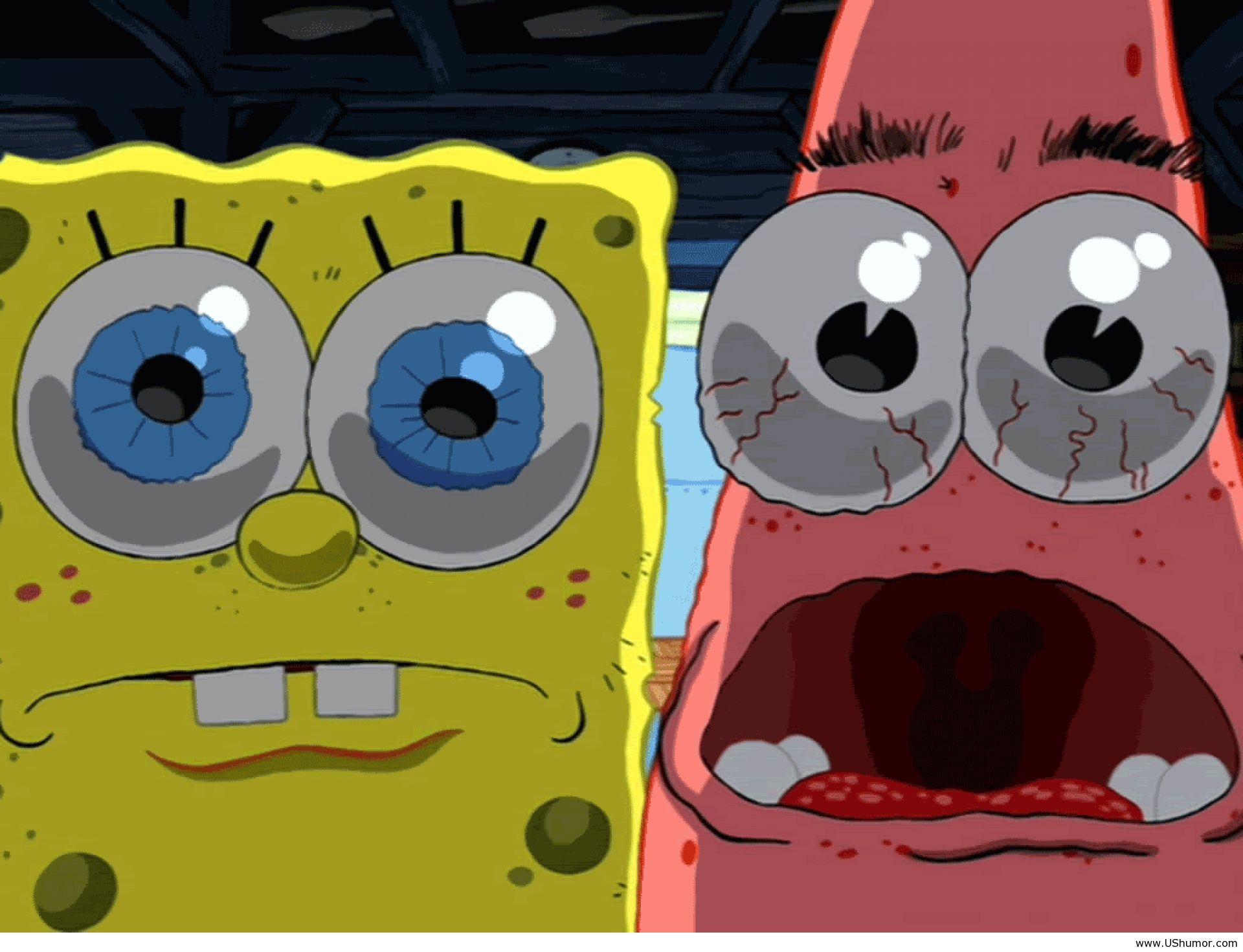 Funny Spongebob Wallpapers Wallpaper Cave