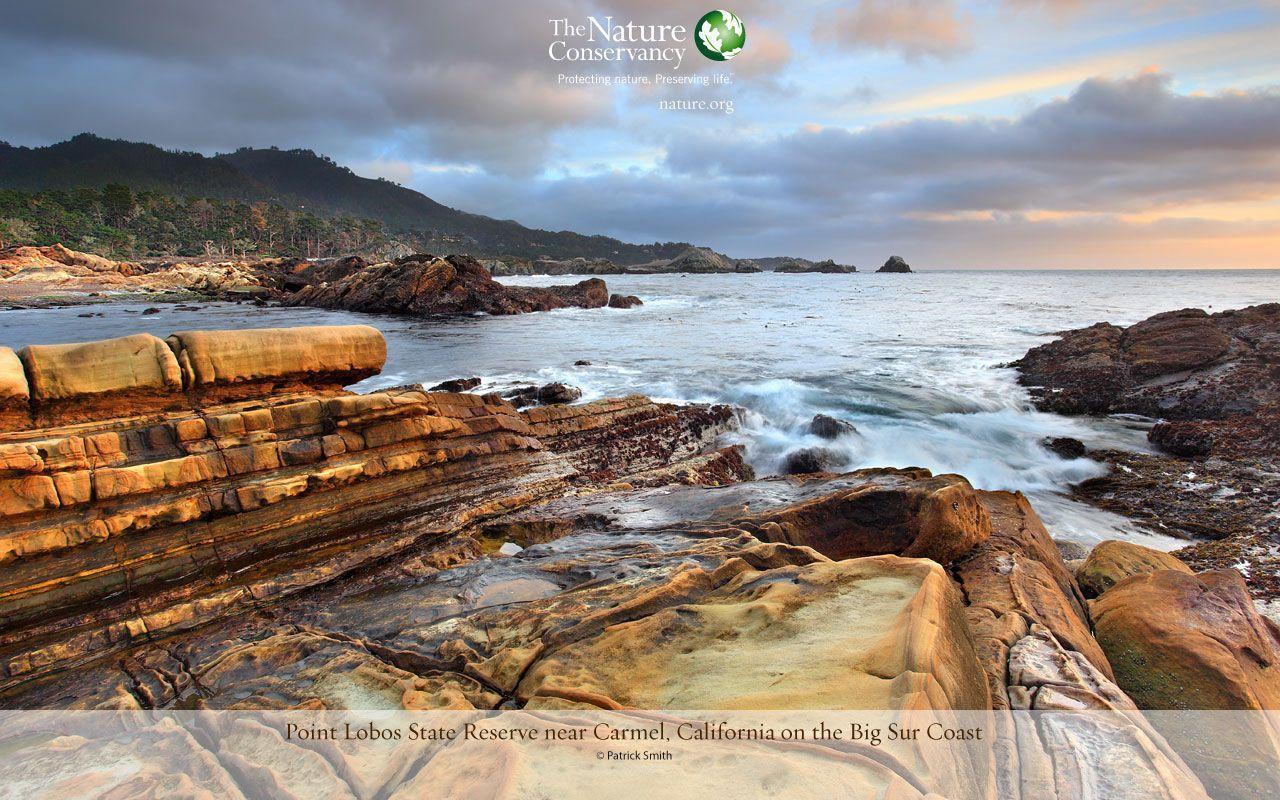 Featured Nature Image. Desktop Wallpaper. The Nature Conservancy