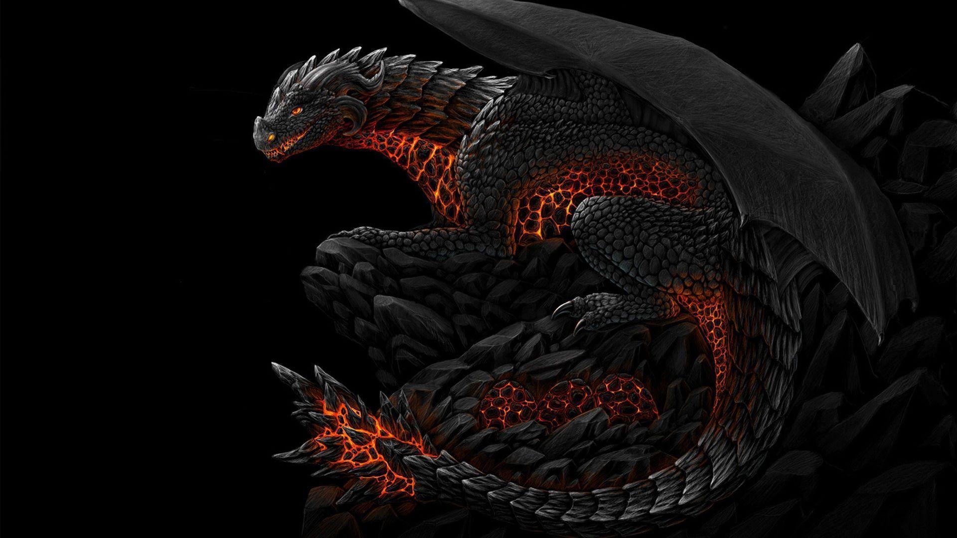 Dragon HD Wallpaper 1080P wallpaper