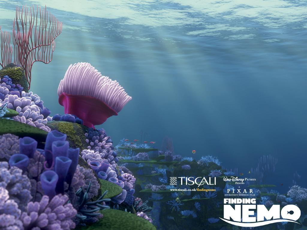 Finding Nemo wallpaper free download Movie Wallpaper