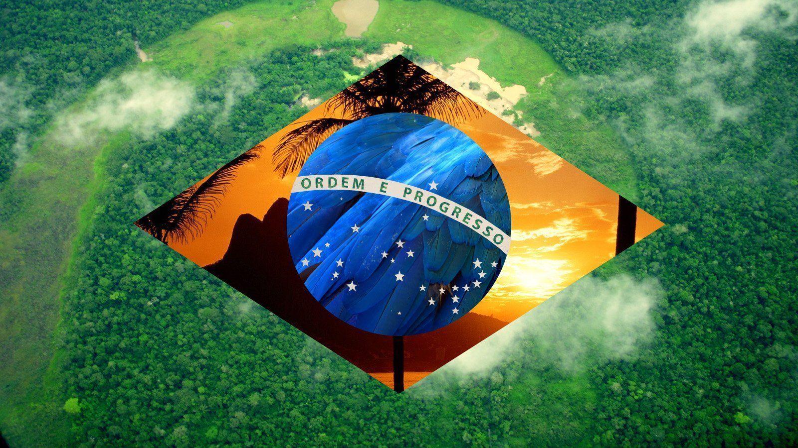 Brazilian Flag Wallpaper wallpaperx900