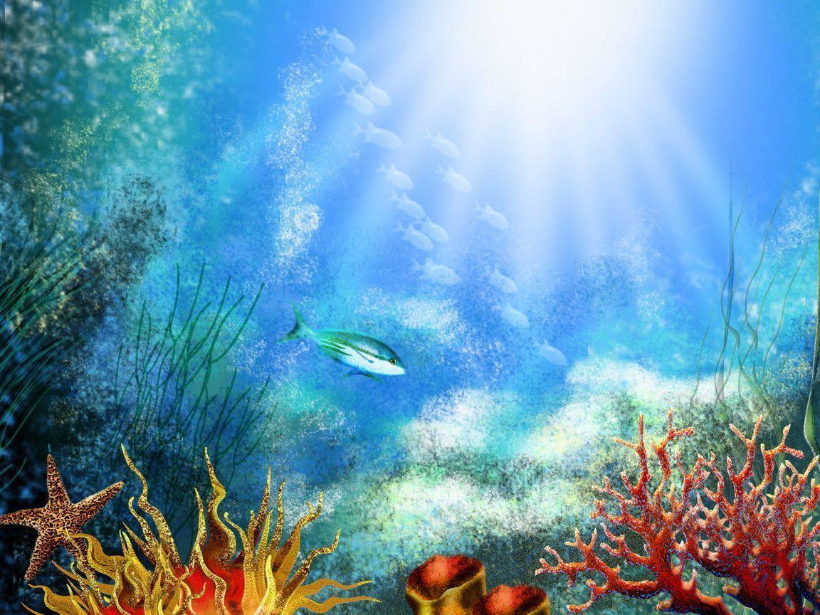 Nature: Breathtaking Marine Life Wallpaper