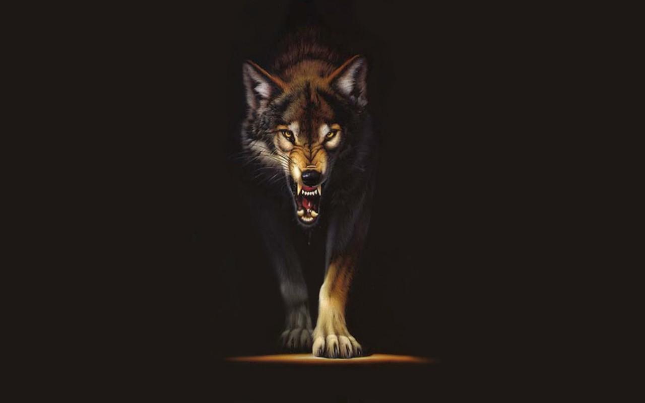 Black Wolf Desktop Wallpaper Id. Frenzia