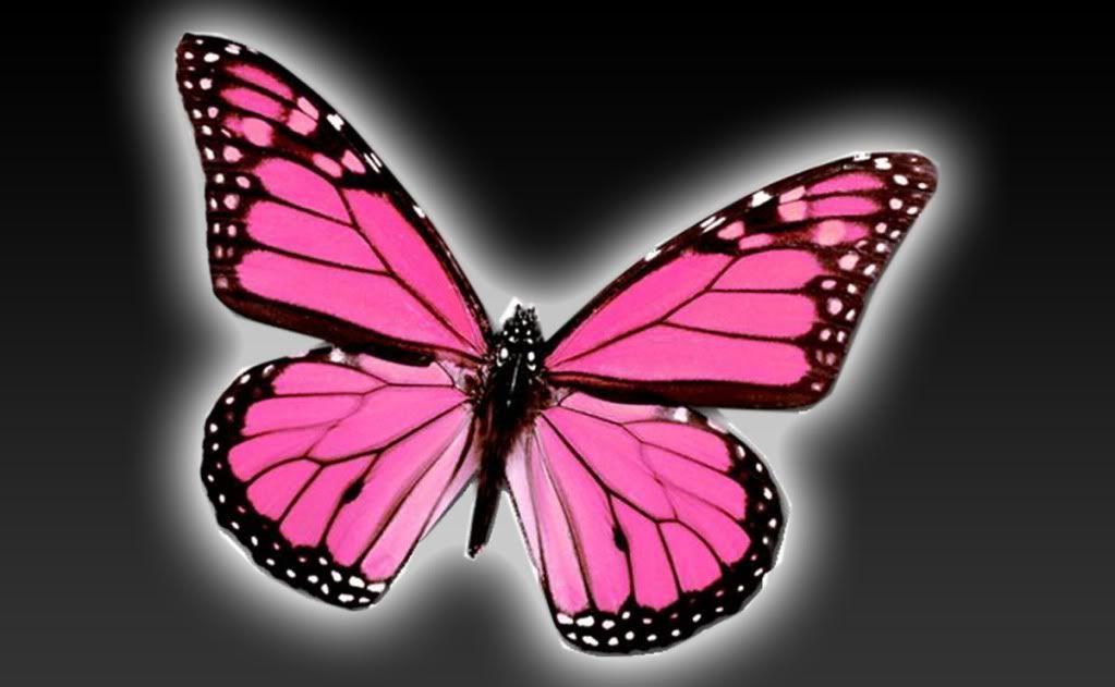 Pin Pink Butterfly Clip Art