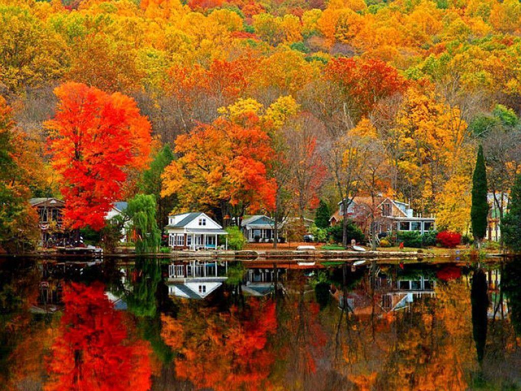 Beautiful Fall Scenery Wallpaper and Background
