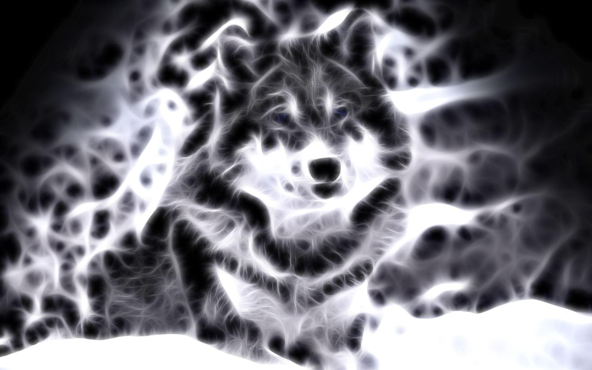 Wallpaper For > Cool Animal Wallpaper Light Wolf
