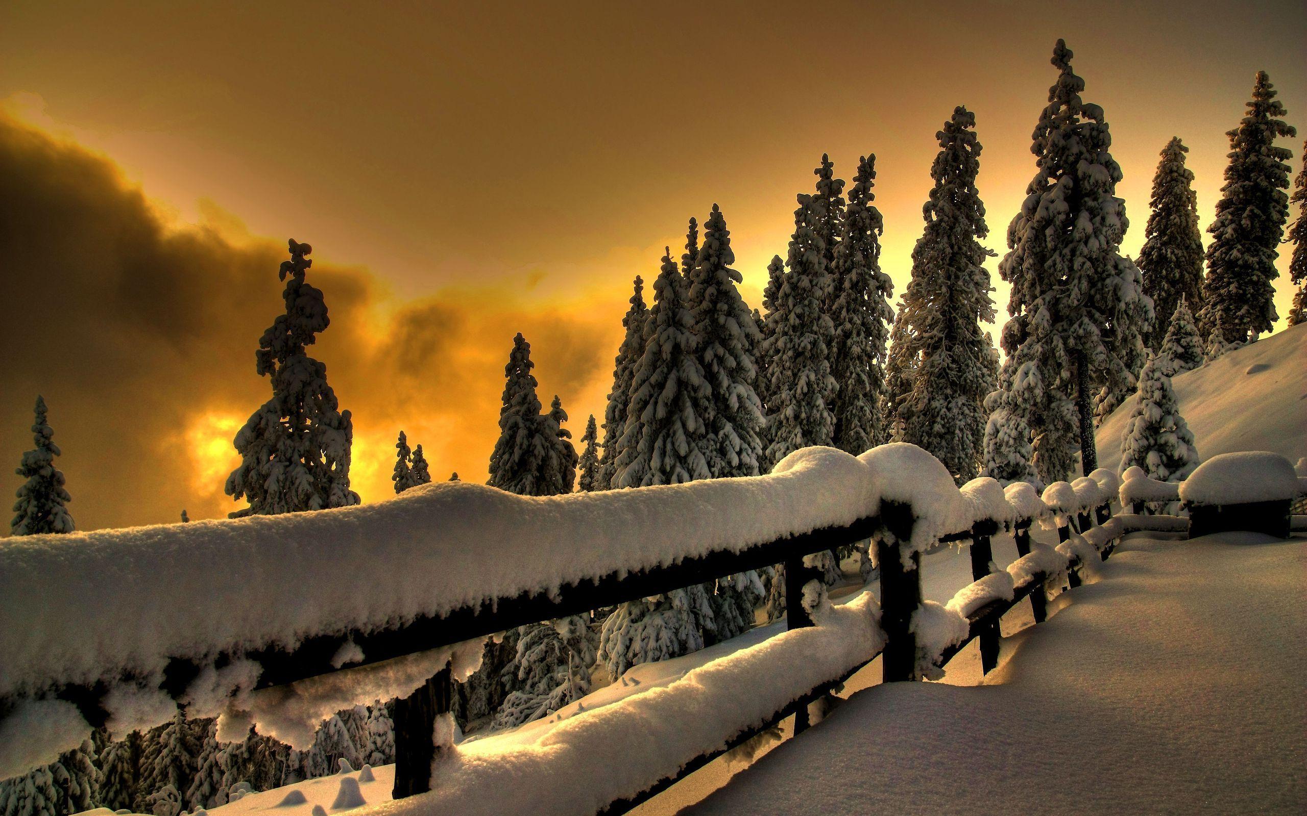 HD Winter Sunset Wallpaper