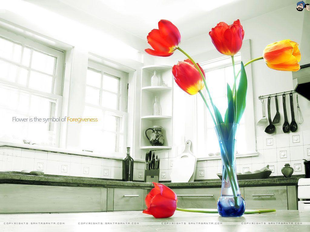 Flowers HD Wallpaper #