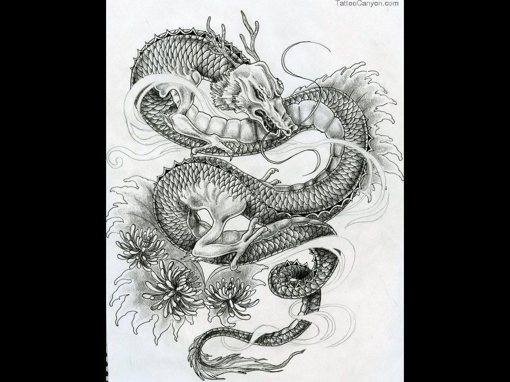 Wallpaper For > Japanese Dragon Tattoo Wallpaper