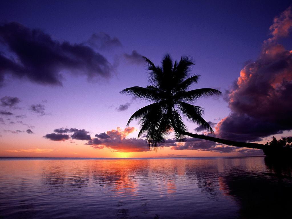 Tropical Beach Sunset Background Widescreen 2 HD Wallpaper